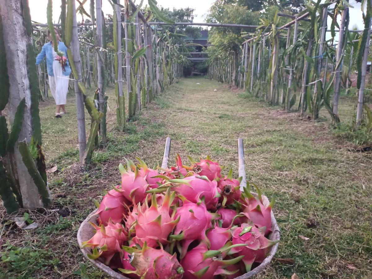 Vongkham Eco Resort Vientiane Dış mekan fotoğraf